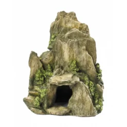 Aqua D'ella Steen Met Mos 19 Cm