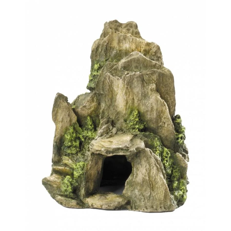 Aqua D'ella Steen Met Mos 19 Cm 1 Aqua D'ella Steen Met Mos 19 Cm