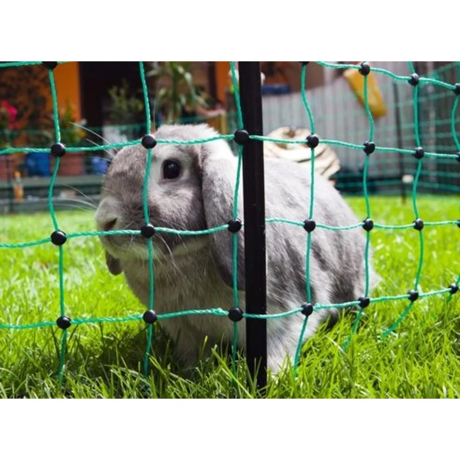 Excellent Schrikdraadnet Voor Kleine Dieren 2 Excellent Schrikdraadnet Voor Kleine Dieren - Afbeelding 2