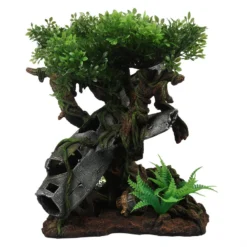 Terra Della Vliegtuigwrak Boom